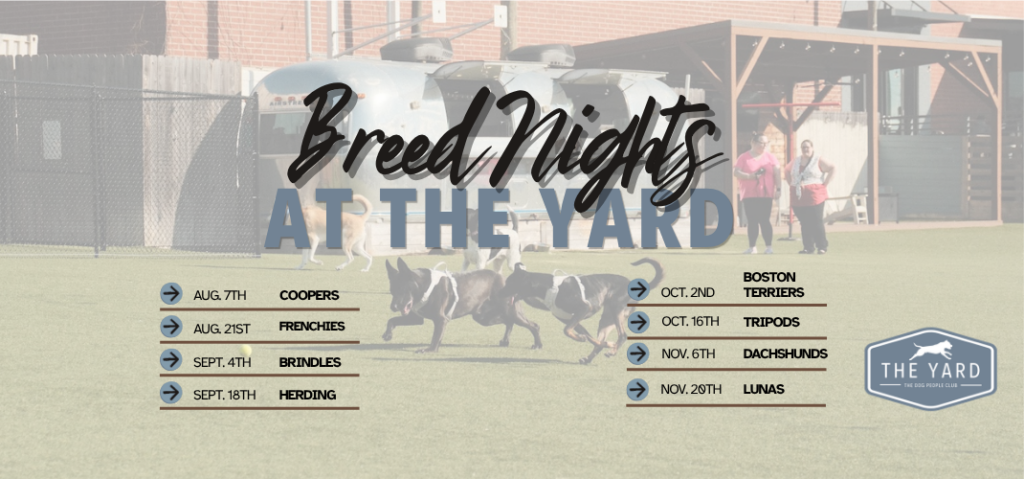 Breed Night: Coopers