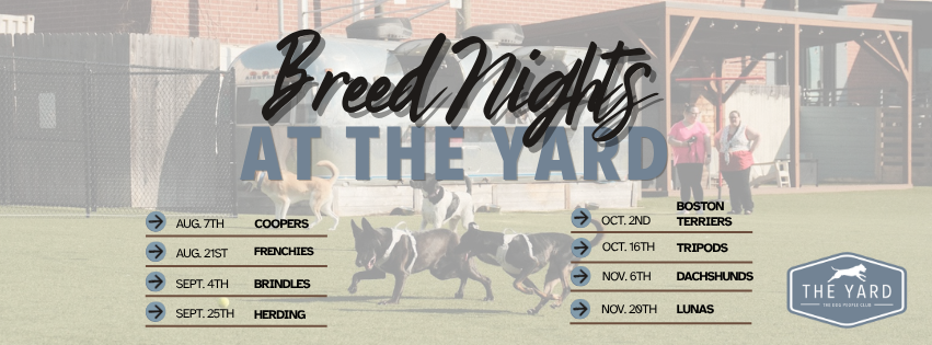 Breed Night: Herding Group