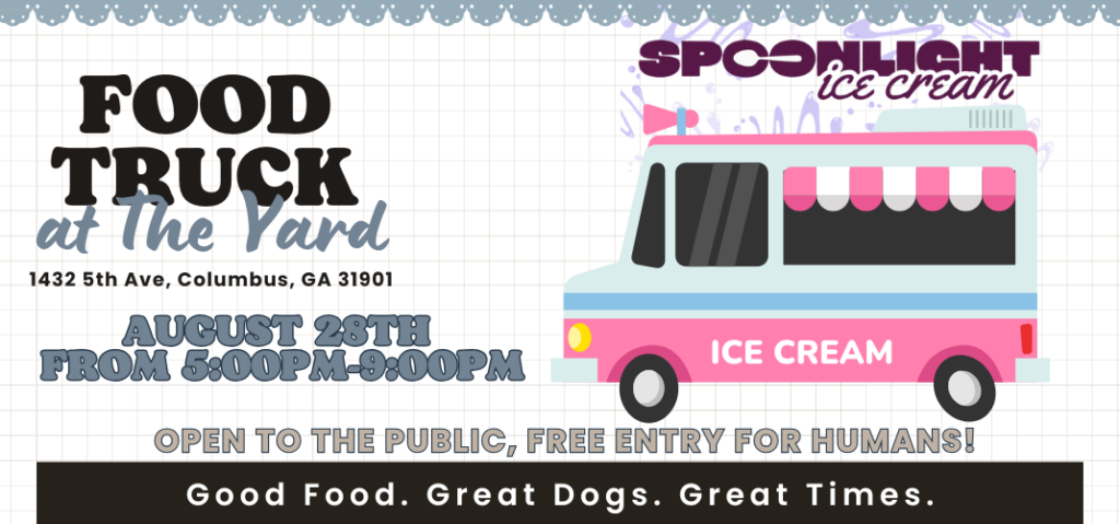 Spoonlight Ice Cream at The Yard