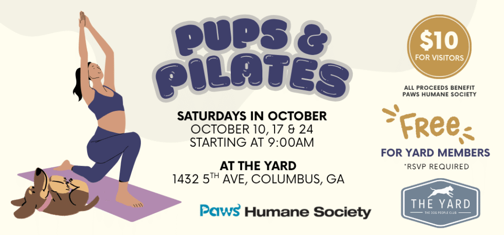 Pups & Pilates at The Yard